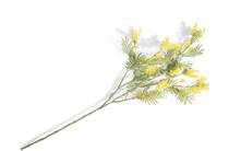Coco Maison COCO MAISON accessoire Mimosa Branch H110cm kunstbloem